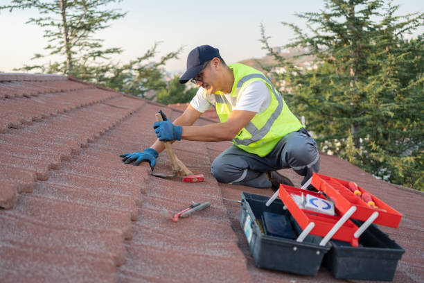 Best Metal Roofing Contractor  in Moore Haven, FL