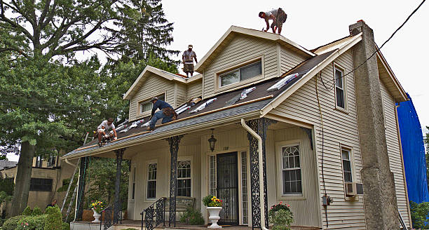 Roof Gutter Cleaning in Moore Haven, FL